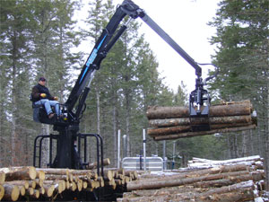 Forestry loaders
