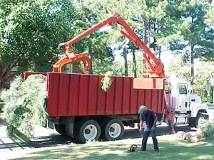 Tree service loaders